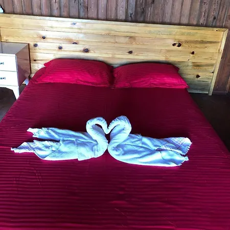 Flamingo Casa de Férias